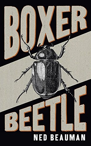 Boxer, Beetle (Paperback, London : Sceptre)