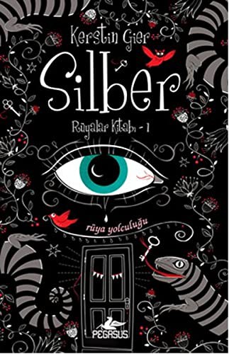 Kerstin Gier: Silber 1 (Hardcover, Pegasus Yayinlari)