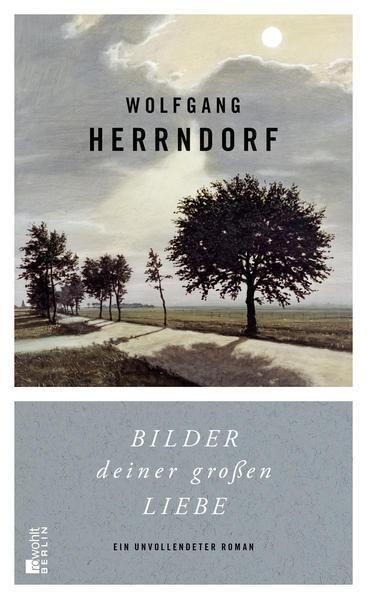 Wolfgang Herrndorf: Bilder deiner großen Liebe (German language, 2014, Rowohlt Verlag)