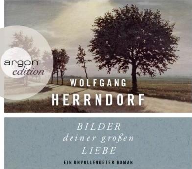 Wolfgang Herrndorf: Bilder deiner großen Liebe (German language, 2014)